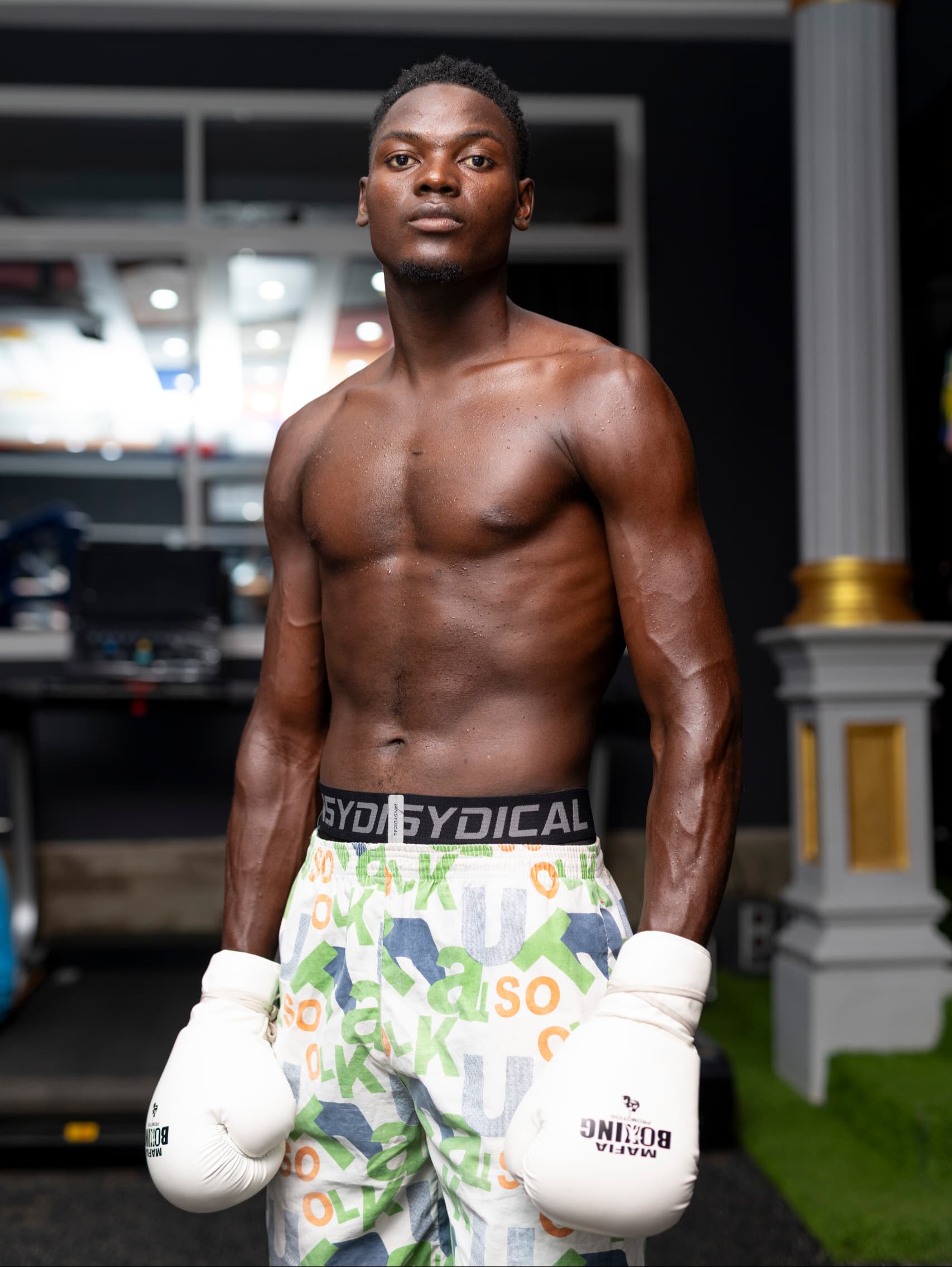 Boxer 1